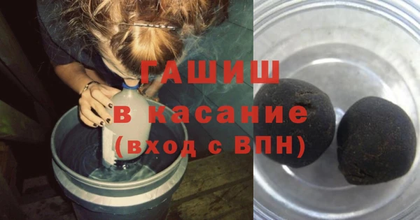 индика Алзамай