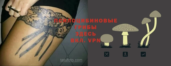 индика Алзамай