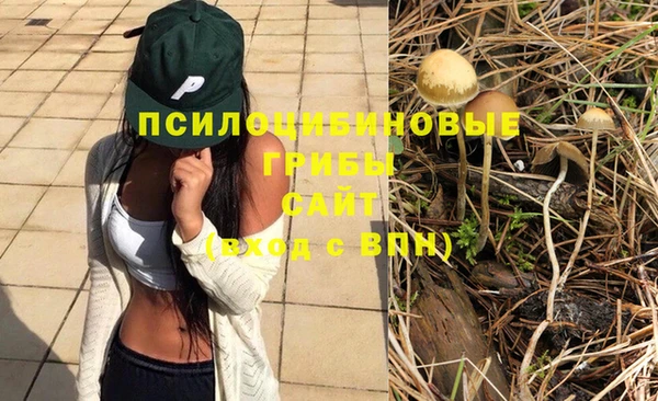 МДПВ Алексин