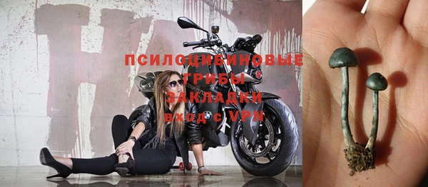 индика Алзамай