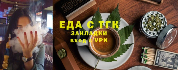 индика Алзамай