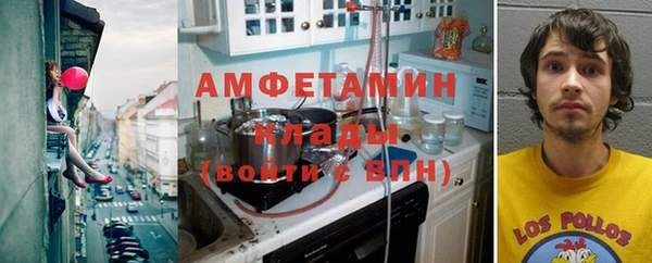 индика Алзамай