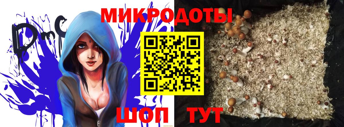 Галлюциногенные грибы прущие грибы Балабаново